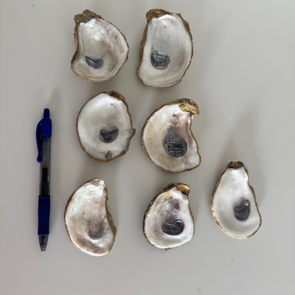 Set of 7 Iridescent Oyster Shell Trinket Dishes